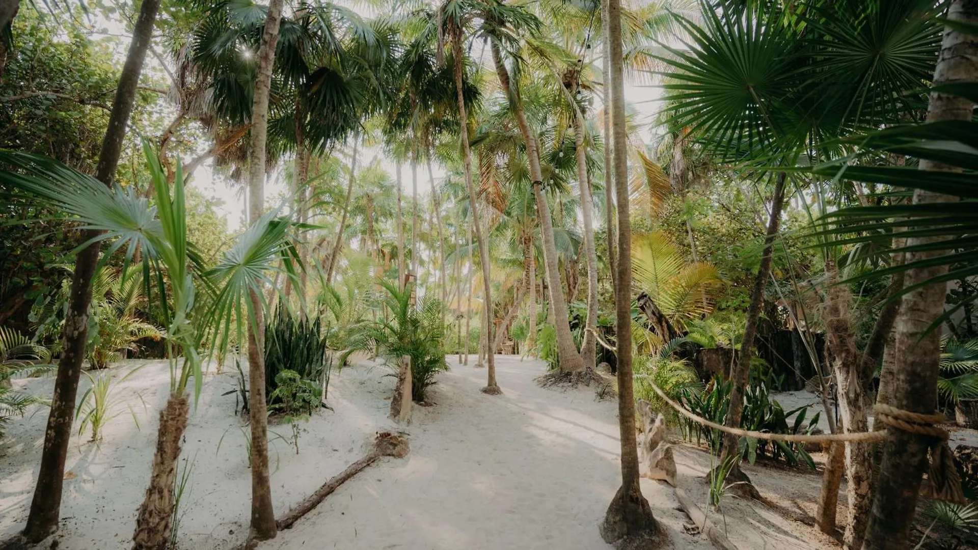 Aldea Zama Penthouse With Private Rooftop And Jacuzzi Tulum 0*,  Mexico